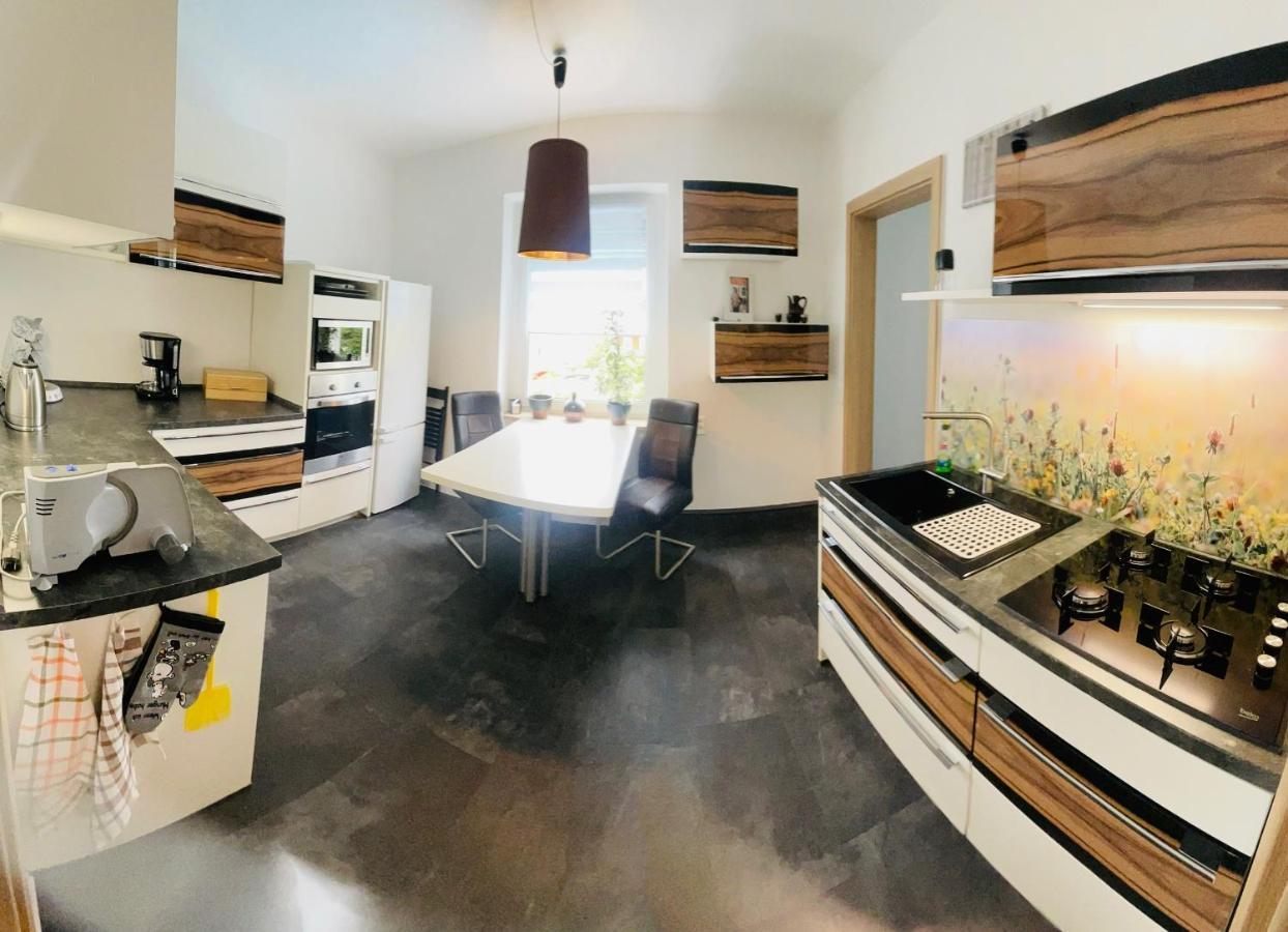 Ferienwohnung Ziegenschweiz Auerbach  Buitenkant foto