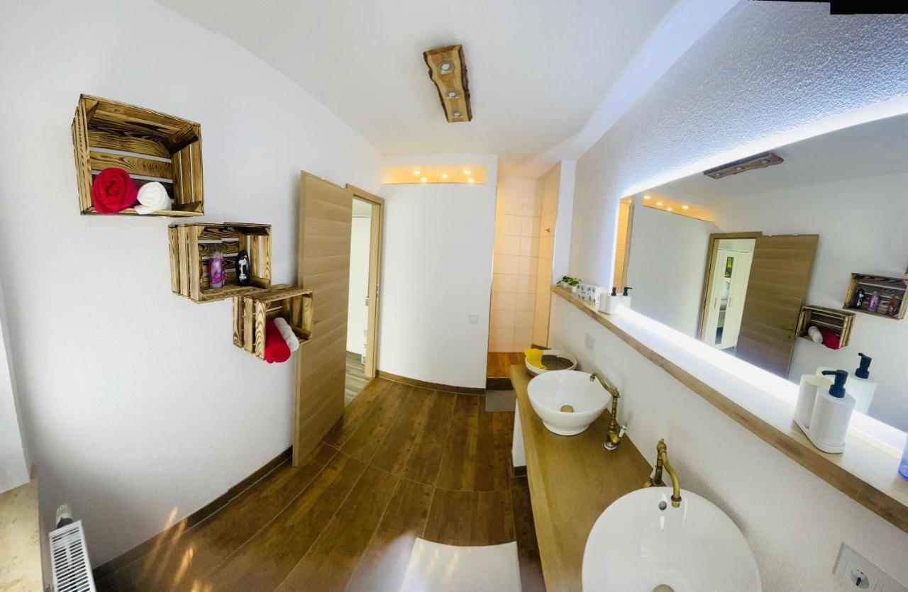 Ferienwohnung Ziegenschweiz Auerbach  Buitenkant foto